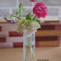 クリスマスローズ,フラワーアレンジメント,ガーデニング,アネモネ 八重,リビング・ダイニングの画像