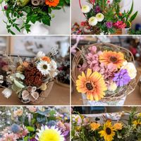 ヒマワリ,カボチャ,ハーブ,思い出,愛知県の画像