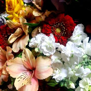 ブーケの画像