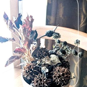 ドライフラワー,ガーデニング,花のある暮らし,小さな庭,庭の画像