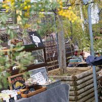 観葉植物,ガーデニング,THE FARM UNIVERSAL,一眼レフ,花苗の画像