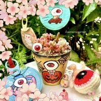 虹の玉,多肉植物,つぶつぶ,今日のお花,繋がりに感謝✨の画像