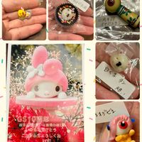 リトープス,ブルゲリ,ラナンキュラスラックス,ラナンキュラスラックス,フウヒの画像