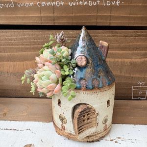 作家さんの作品,多肉植物のある暮らし,プレ企画,作家鉢,プレ企画敗者復活戦の画像