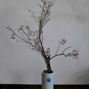 啓翁桜,いけばな,花のある暮らし,花のある生活,GS映えの画像