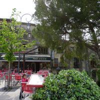 アイビー,アイビー（ヘデラ）,庭園,緑のある暮らし,お城の画像