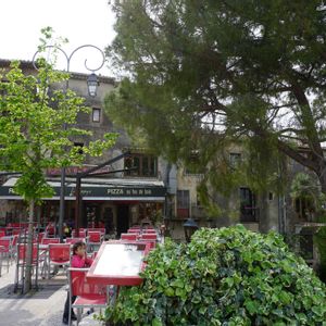 アイビー,アイビー（ヘデラ）,庭園,緑のある暮らし,お城の画像