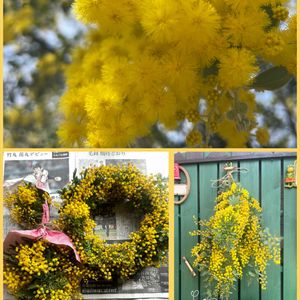 ミモザ,リース,スワッグ,元気もらえる,お花のある暮らしの画像