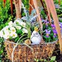 カレックス,プリムラ,ワイヤープランツ,ビオラ,ビオラの画像