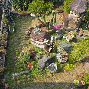 花のある暮らし,放置栽培,チーム愛知,おうち園芸,チーム宮崎の画像