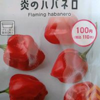 ハバネロ,百日草（ジニア）ポンポン咲き,ジニア　絞り咲き百日草,種から,種まきの画像