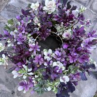 ドクダミ,超極早生　春いちばん玉葱,たねからの幸せ,武器ではなく花を,ミニ葉牡丹育て隊の画像