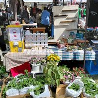 ハンドメイド,マルシェ,桜まつり,繋がりに感謝✨,ＧＳだヨ！全員集合の画像