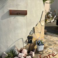 ネメシア,アガベ,コルジリネ,ミオソティス ミオマルク,アガベ　ジェミニフローラの画像