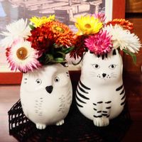 ヘリクリサム パステル,ドライフラワー,キュンキュン乙女倶楽部,ヘリクリサム（ムギワラギク・帝王貝細工）,幸せを呼ぶフクロウ祭りの画像