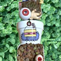 リトープス,フウヒ,可愛い,GSのみなさんに感謝♡,ありがとう♡の画像