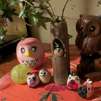 ヒヤシンス,ヘデラ,ヘデラ,ヘデラ,南天の画像