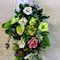 クリスマスローズ,スワッグ,いただきものの画像