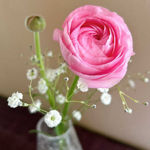 花のある暮らし,花のある生活,切り花を楽しむの画像