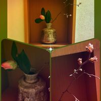 ツバキ,生け花,GSのみなさんに感謝♡,お花を楽しむ,お疲れ様です♡の画像