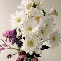 アルストロメリア,スターチス,ダリア,マム,仏壇の供花の画像