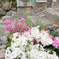 玄関アプローチの画像