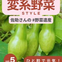 ミニトマト,野菜のある暮らし,野菜遺産,野菜遺産PROJECT,家庭菜園の画像