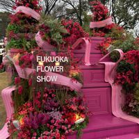 エリカ,オダマキ,ソメイヨシノ,雨の日,さくら 桜 サクラの画像