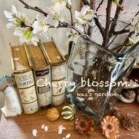 ソメイヨシノ,ソメイヨシノ,雑貨,満開,雑貨小物の画像