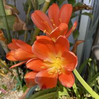 バルコニー/ベランダの画像