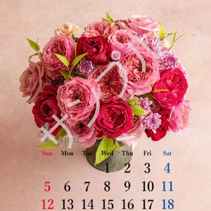 カーネーション,スプレーキク(スプレーマム),バラ、薔薇、ばら,切り花,キク科の画像