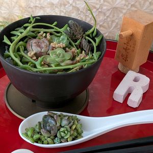 寄せ植え,多肉植物,多肉寄せ植え,ガーデニング,GSのみなさんに感謝♡の画像