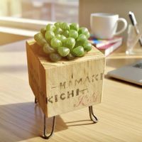 ハオルチア オブツーサ,小さいものクラブの画像