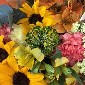 サボテン,ゴールデンマキノイ,花束,ビタミンカラー,番外編の画像