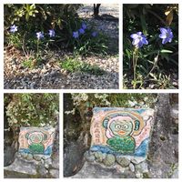 ハナニラ,スミレ,ニリンソウ,フキノトウ,ユキノシタの画像