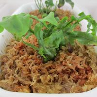 レカノプテリス,アリノスシダ,観葉植物,塊根植物,シダ植物の画像