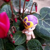 シクラメン,花言葉,キュンキュン乙女倶楽部,ソニーエンジェル,ｵｹﾂの日の画像