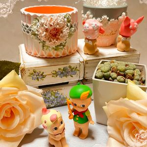 ルイザエ,コノフィツム ルイザエ,リメ鉢,プレ企画当選品,繋がりに感謝✨の画像