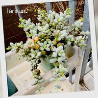 玉つづり,多肉植物,タニラー,多肉女子,らり♪多肉の画像