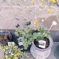 玄関アプローチの画像