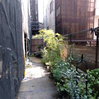 ユッカ,アガベ,コルディリネ,ガーデニング,アガベ属の画像