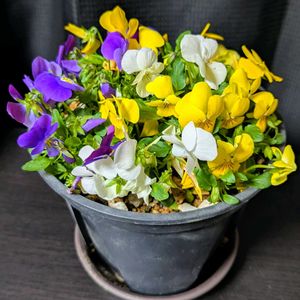 部屋,デスク,その他部屋の画像