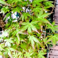 アプローチの画像