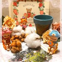 ハブランサス,マツバギク,ワタ,綿花,白い花の画像