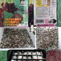 レタス,種から,種まき,家庭菜園,リビング・ダイニングの画像