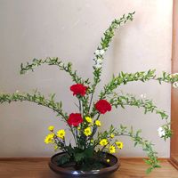 カーネーション,きく  菊,小手毬（こでまり）,生け花の画像