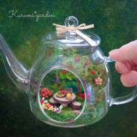 どんぐりの帽子,ワークショップ作品,くるみ*さんのボトルガーデン,くるみ*さんのボトルガーデン,ワークショップ の画像