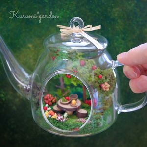 どんぐりの帽子,ワークショップ作品,くるみ*さんのボトルガーデン,くるみ*さんのボトルガーデン,ワークショップ の画像