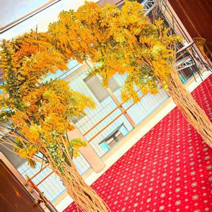 アカシア,ミモザ,お花屋さん,熊本,卒業式の画像