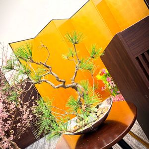 マツ,お花屋さん,熊本,卒業式,生け込みの画像